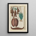 Natural History of Quadrupeds Pl45 - Filippo Buonanni — framed artwork on a wall