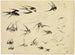 Les Hirondelles - Félix Bracquemond — artwork view