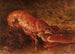 Still life with lobster - Félix Ziem — artwork view
