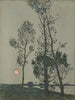 Trees in the moonlight - Florence Esté — artwork view
