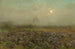 Champ de choux au clair de lune - Florent Crabeels — artwork view