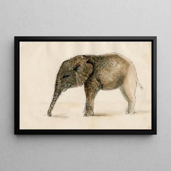Little Elephant - Floris Verster — framed artwork on a wall