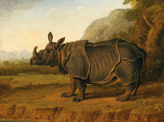The rhinoceros Clara - School of Jean-Baptiste Oudry — artwork view
