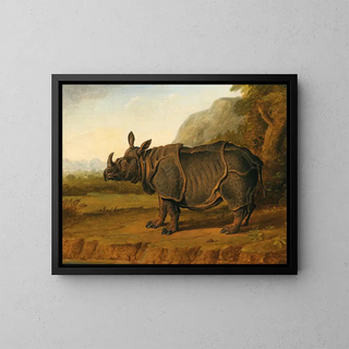 The rhinoceros Clara - School of Jean-Baptiste Oudry — framed artwork on a wall