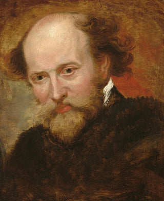 Pierre Paul Rubens - School of Peter Paul Rubens — artwork view