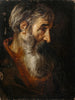 Head of an Old Man - School of Pieter van Mol — artwork view
