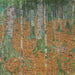 Birch Forest - Gustav Klimt — artwork view
