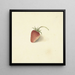 Strawberry - Elisabeth Geertruida van de Kasteele — framed artwork on a wall