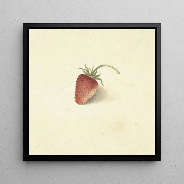 Strawberry - Elisabeth Geertruida van de Kasteele — framed artwork on a wall