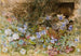Marguerites et violettes - Frances Fanny Wilmot Currey — artwork view