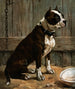 Sitting Terrier - Frances Townsend — artwork view
