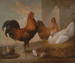 Domestic hens and roosters painting - Francis Barlow — artwork view