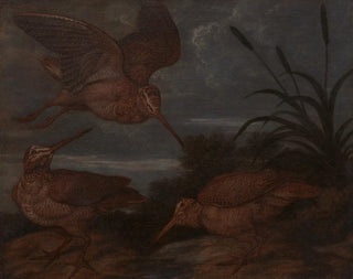 Bécasse au crépuscule - Francis Barlow — artwork view