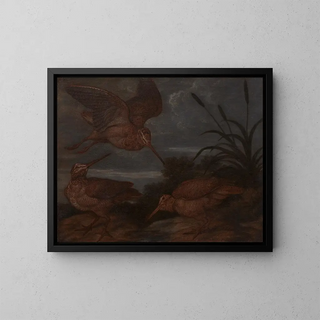 Bécasse au crépuscule - Francis Barlow — framed artwork on a wall