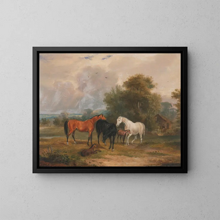 Mares and Foals Grazing in a Field - Francis Calcraft Turner — framed artwork on a wall