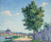 Le peuplier, sunlight effect in Villeneuve-sur-Yonne - Francis Picabia — artwork view