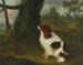 An English spaniel and a flintlock gun in a landscape - Francis Sartorius — artwork view