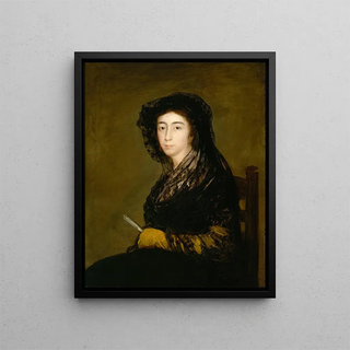 Mme Amalia Bonells de Costa - Francisco de Goya — framed artwork on a wall