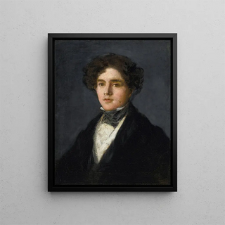Portrait of Mariano Goya, the artist's grandson - Francisco de Goya — framed artwork on a wall
