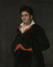 Portrait of Don Ramón Satué - Francisco de Goya — artwork view