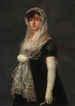 Young woman wearing a mantilla and a basquin - Francisco de Goya — artwork view