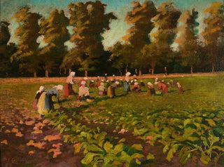 Harvest of beets - Franciszek Łubieski — artwork view