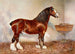 Stallion Clydesdale Prince d'Albion - Frank Babbage — artwork view