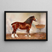 Stallion Clydesdale Prince d'Albion - Frank Babbage — framed artwork on a wall