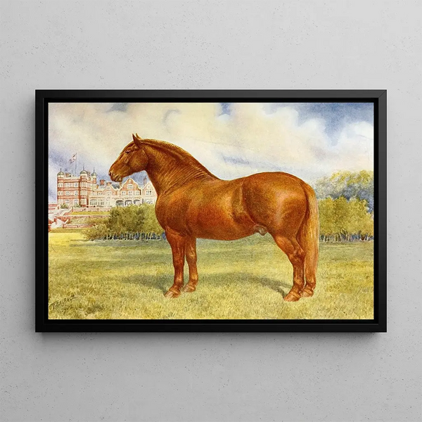 Suffolk Sire Prince Wedgewood - Frank Babbage — framed artwork on a wall
