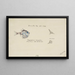 Argyropelecus hemigymnus, common hatchetfish of New Zealand - Frank Edward Clarke — framed artwork on a wall