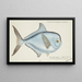 Brama brama NZ Ray's Bream - Frank Edward Clarke — framed artwork on a wall