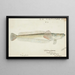 Crapatulus novaezealandiae NZ Sand stargazer - Frank Edward Clarke — framed artwork on a wall