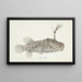 Himantolophus appelii NZ side view l Spiny anglerfish - Frank Edward Clarke — framed artwork on a wall