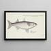 Mulet - Frank Edward Clarke — framed artwork on a wall