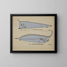 Possiblement Lophotes capallei - Frank Edward Clarke — framed artwork on a wall