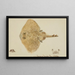 Rajidae - Frank Edward Clarke — framed artwork on a wall