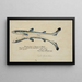 Squalus acanthias Siamese twins Spotted dogfish - Frank Edward Clarke — framed artwork on a wall