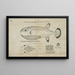 Tetraodon cheesmanii, globe fish - Frank Edward Clarke — framed artwork on a wall