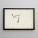 Trachipterus trachypterus New Zealand Ribbon Fish - Frank Edward Clarke — framed artwork on a wall