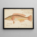 Unknown Painting - Frank Edward Clarke — framed artwork on a wall