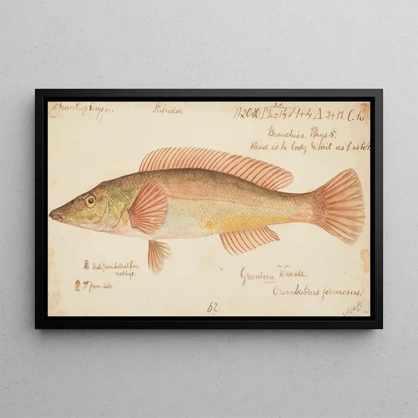 Unknown Painting - Frank Edward Clarke — framed artwork on a wall