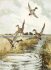 S Canard Colvert Flying - Frank Weston Benson — artwork view