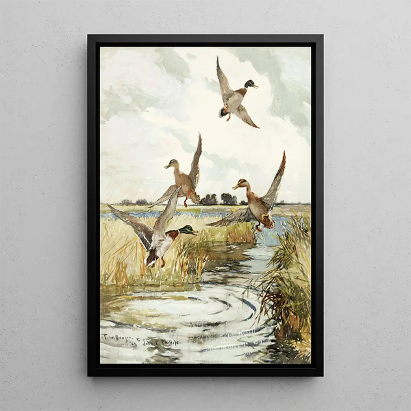 S Canard Colvert Flying - Frank Weston Benson — framed artwork on a wall