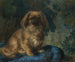 Pekingese Painting - François-Charles Cachoud — artwork view