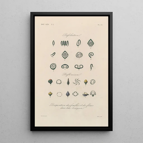 Traité de botanique générale Pl034 - François Hérincq — framed artwork on a wall