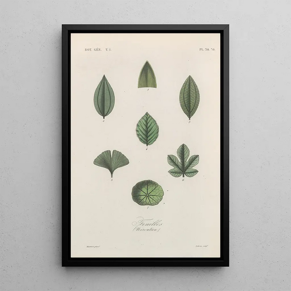 Treatise on General Botany Pl035 - François Hérincq — framed artwork on a wall