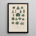 Treatise on General Botany Pl038 - François Hérincq — framed artwork on a wall