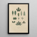 Treatise on General Botany Pl039 - François Hérincq — framed artwork on a wall