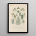Treatise on General Botany Pl041 - François Hérincq — framed artwork on a wall