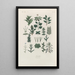 Traité de botanique générale Pl043 - François Hérincq — framed artwork on a wall